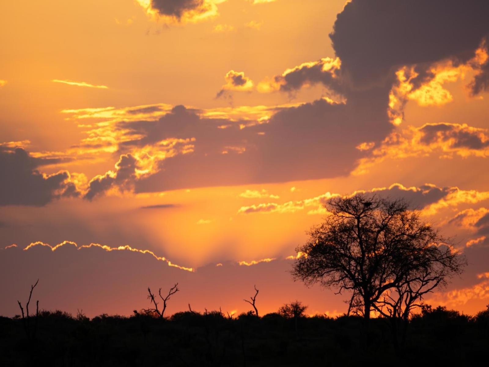 Grace Of Africa, Couples 5 Star Nature Lodge Marloth Park Exteriör bild
