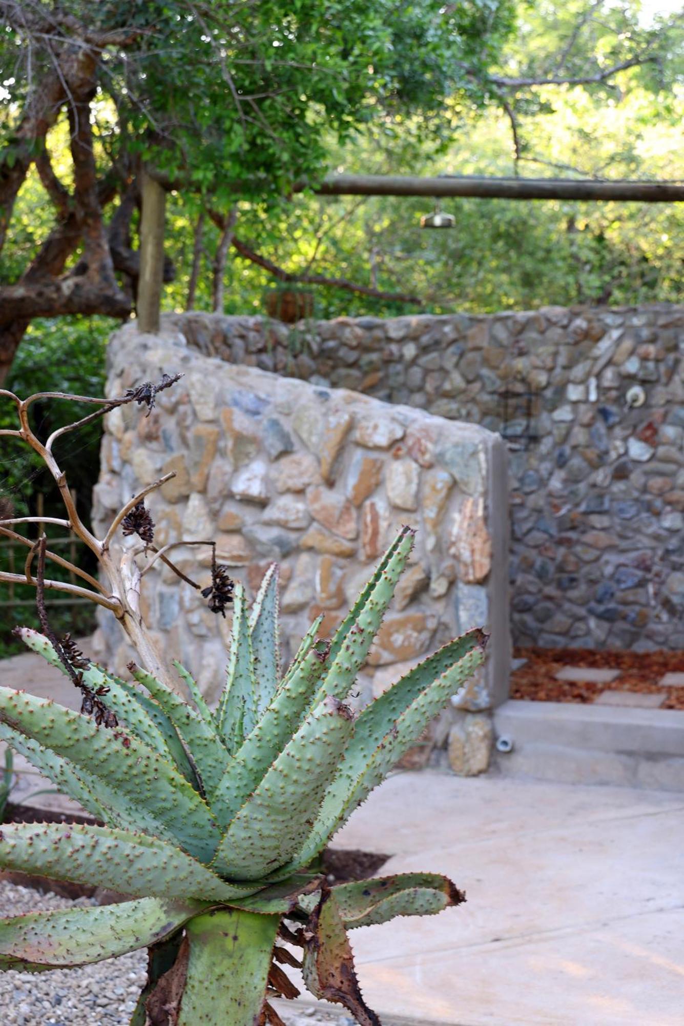 Grace Of Africa, Couples 5 Star Nature Lodge Marloth Park Exteriör bild